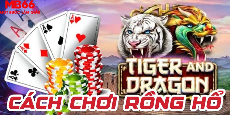 Cách Chơi Rồng Hổ Chuẩn Xác Giúp Bạn Dễ Thắng Cược Lớn