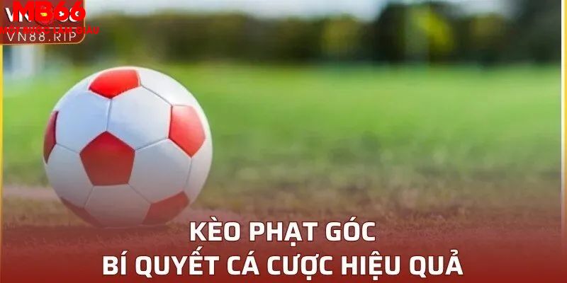 Cách đọc kèo phạt góc chuẩn xác giúp đặt cược hiệu quả
