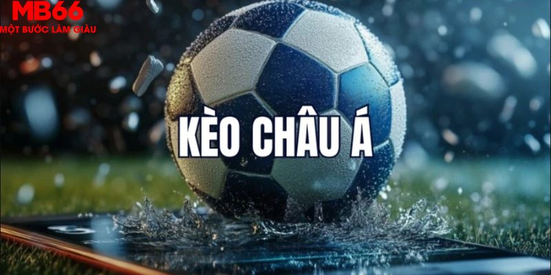 Kèo châu Á ngày càng được lựa chọn nhiều bởi độ hấp dẫn