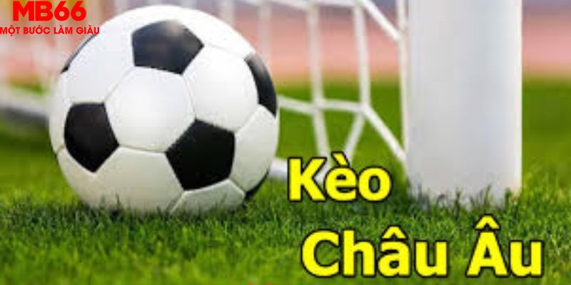 Kèo châu Âu hiệu quả hơn nhờ mẹo cược hay từ cao thủ lâu năm