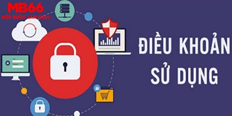 Thường xuyên cập nhật những thông tin từ MB66