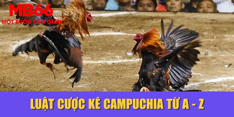 Luật cược kê Campuchia từ A - Z