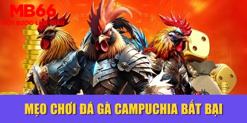 Mẹo chơi đá gà Campuchia bất bại