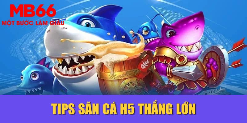 Tips săn cá H5 thắng lớn